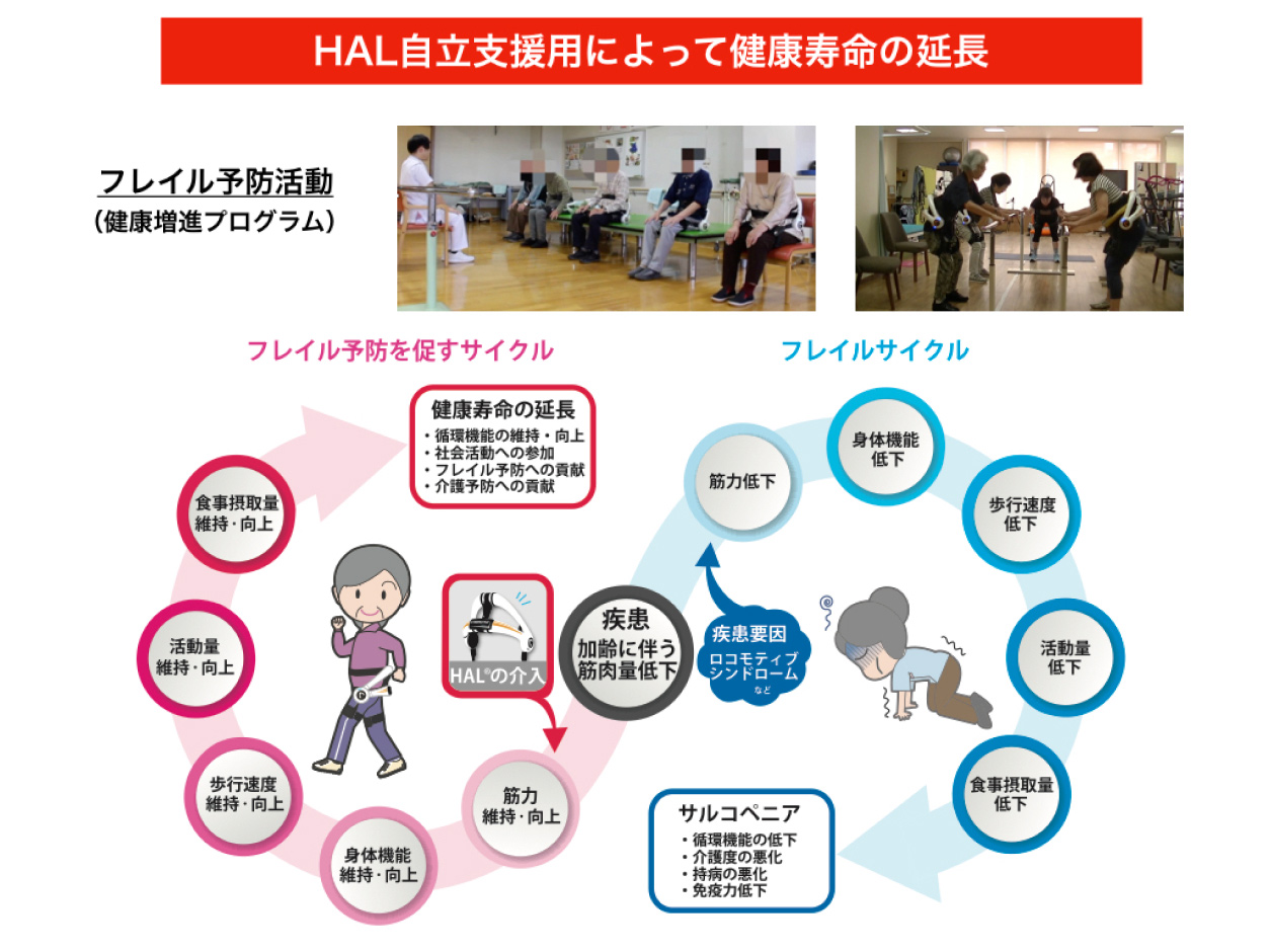 HAL自立支援用による健康寿命の延長。フレイル予防を促すサイクルで、循環機能の維持向上、社会活動への参加に寄与し、サルコペニアを予防します。
